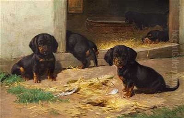 Gravhundehvalpe - view 1