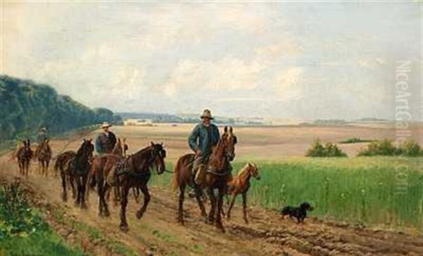 Hjem Fra Marken - view 1