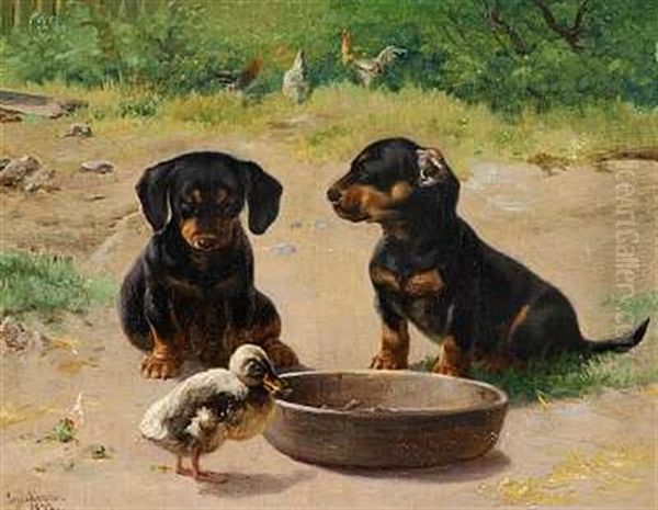 Gravhundehvalpe Og En Aelling - view 1