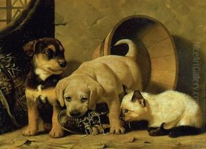 Puppy Love: For Me The Boot, For You The Beetle