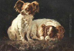 To Sommerfugle Hunde To Sommerfugle Hunde