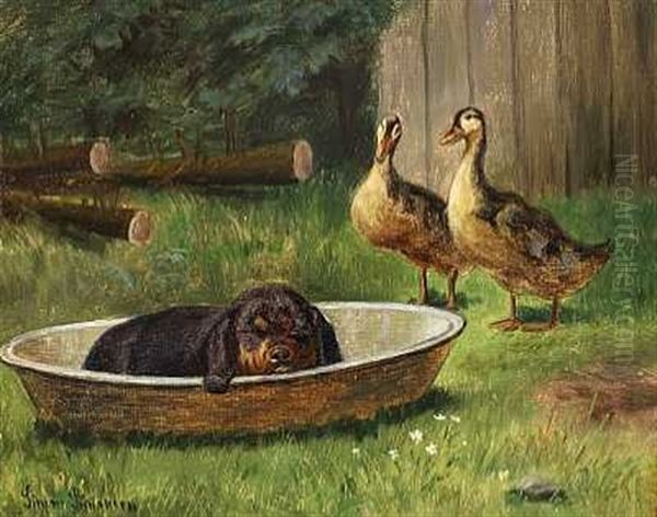 En Sovende Gravhundehvalp Betragtes Af To Aender - view 1
