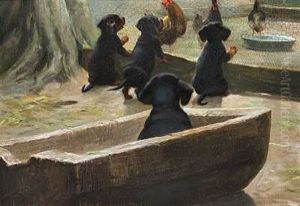 Gravhundehvalpe Pa Eventyr Gravhundehvalpe Pa Eventyr