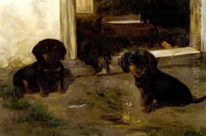 Short-haired Dachshund Puppies by Simon Simonsen