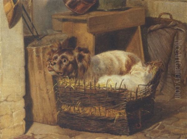 Hund Og Kat I En Kurv. Hunden Betragter En Bi - view 1