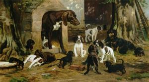 Pointer Og Gravhund Med Deres Mange Hvalpe