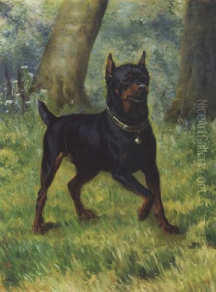 "scott", Rottweiler - view 1