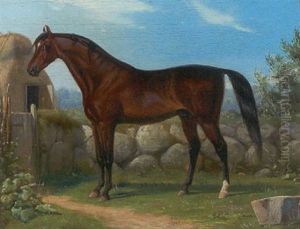En Hingst Fra Frederiksborg Stutteri