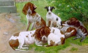 Hundehvalpe Ved En Trappe