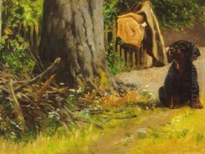 Gravhundehvalp Betragter En Sommerfugl