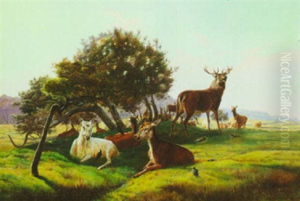 Deer Herd In The Fields - view 1