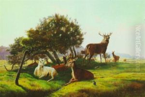 Deer Herd In The Fields by Simon Simonsen