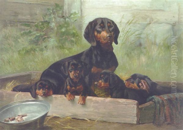 Dachshunds - view 1