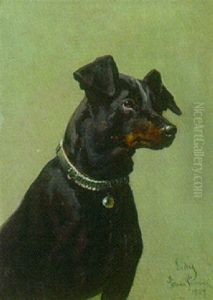 "lady" by Simon Simonsen