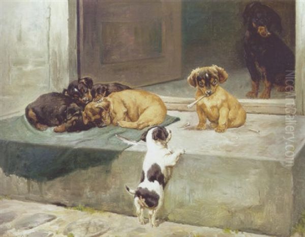 Hundehvalpe - view 1