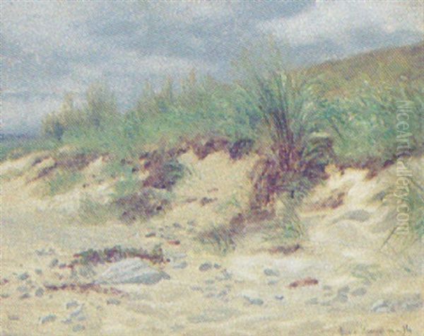 Strandstudie, Parti Fra Helsingor - view 1