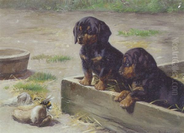 Betaenkelige Gravhundehvalpe Og Humlebi - view 1