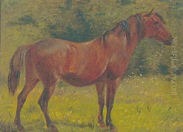 Portraet Af Rodbrun Hest - view 1