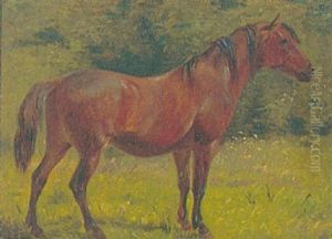 Portraet Af Rodbrun Hest Portraet Af Rodbrun Hest