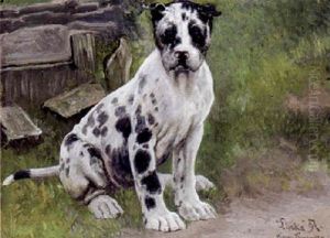 Grand Danois Hvalpen "linka"