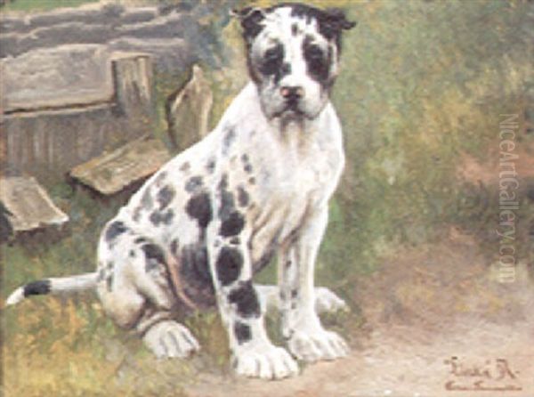 "linka", Portraet Af Siddende Grand Danois Hvalp - view 1