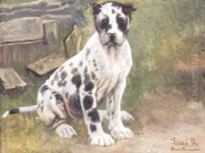 "linka", Portraet Af Siddende Grand Danois Hvalp