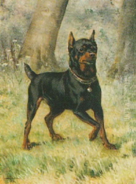 A Miniature Pinscher - view 1