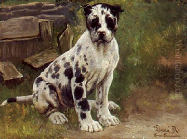 "linka", Portraet Af Siddende Gran Danois Hvalp - view 1