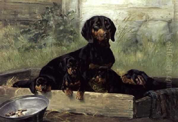 Gravhund Med Hvalpe - view 1