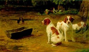 Pointers Puppies