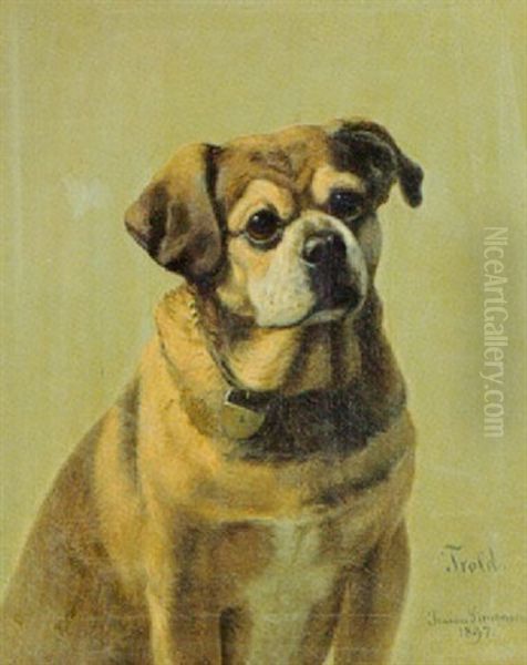 Hunden "trold" - view 1