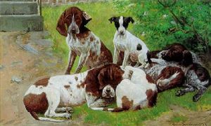 Syv Hundehvalpe Ved En Trappe