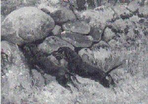 To Gravhunde Ved Stetsaetning by Simon Simonsen