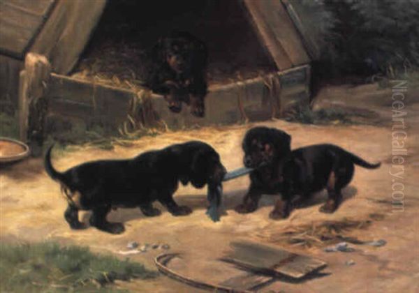 Gravhundehvalpe - view 1