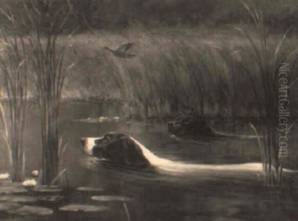 The Dogs Go Through The Reeds - view 1