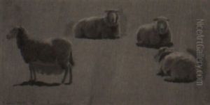 Study Of Sheep