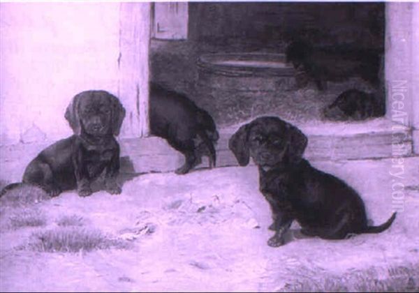 Dachsunds Resting - view 1