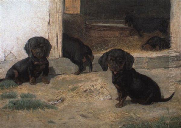 Black And Tan Dachshund Puppies - view 1