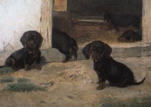 Black And Tan Dachshund Puppies by Simon Simonsen