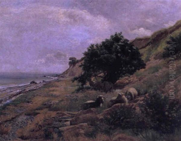 Kustenlandschaft - view 1
