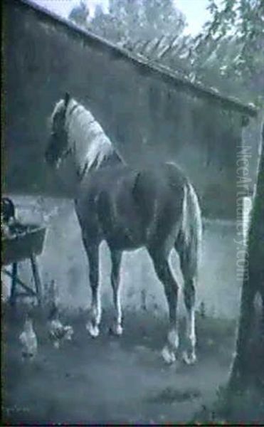 Hest Pa En Gardsplads - view 1