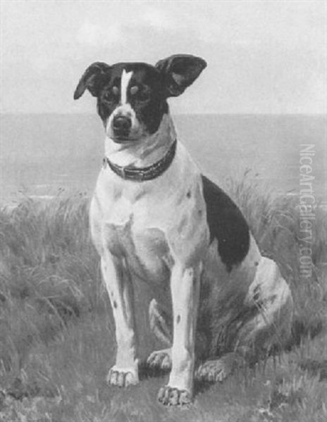 A Portrait Of 'knar' - view 1