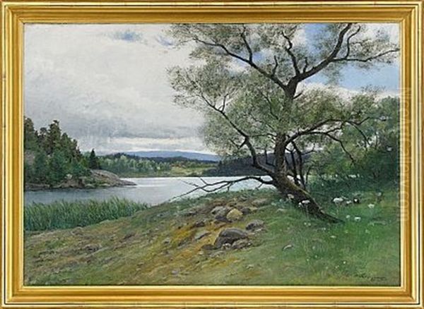 Skargardslandskap - view 1