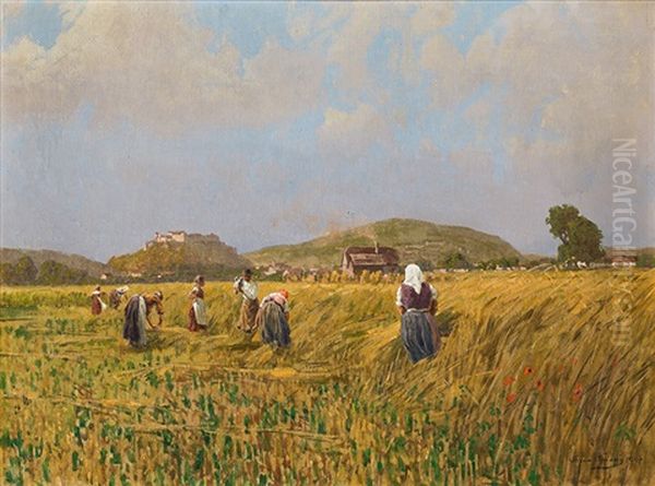The Harvest In Salzburg - view 1
