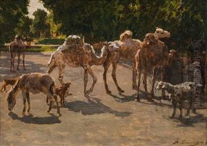 Dromedaries At The Schonbrunn Zoo Dromedaries At The Schonbrunn Zoo