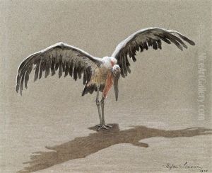 Marabu by Stefan Simony
