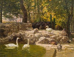 Enten Und Schwane Im Kleinen Teich, Schonbrunn by Stefan Simony