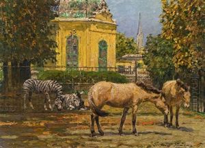 Zebras Und Wildpferde In Schonbrunn