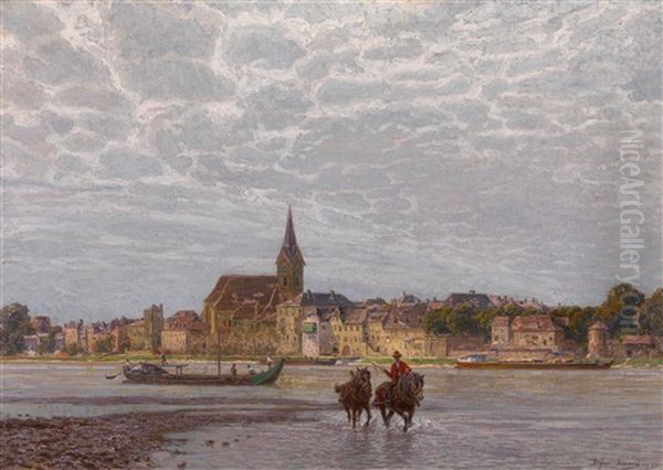 Treidelpferde Bei Ybbs An Der Donau - view 1