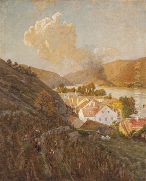 Weinlese In Der Wachau - view 1